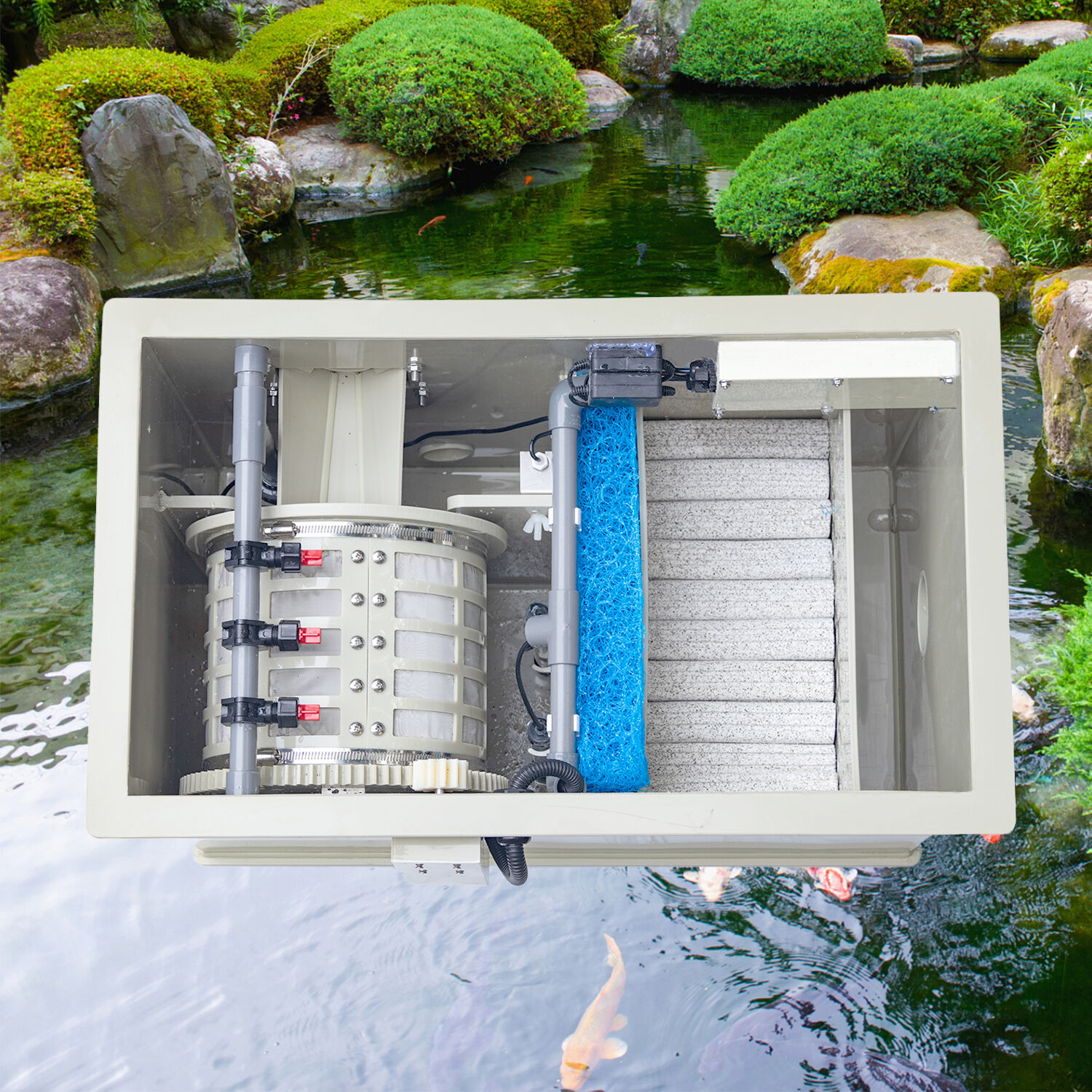 コイ池のフィルタリング